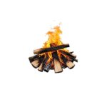 Bois de chauffage Premium 25 cm – étuvé – 2,60 stères – chêne, charme, hêtre – Image 3