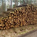 Grumes de chêne Bois certifié PEFC par camion